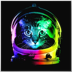 LoopVegas's Avatar'