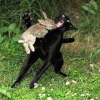 Weqrdd-_-'s Avatar'