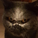 Feetsmeller14's Avatar'