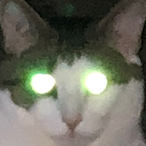 nothiNxpersonal-'s Avatar'