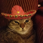 GanjaDog420's Avatar'