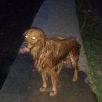 o.o_o-o.o_o-o.o's Avatar'