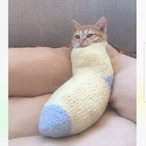 Sakurahana1005's Avatar