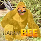 HaramBEE.'s Avatar'