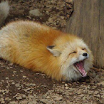 OpiumxFent's Avatar'