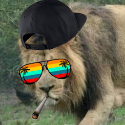 ItsGingieDude