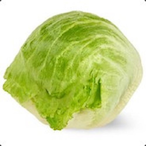 xXBigLettuceXx's Avatar'