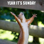 Yeah_SUNDAY's Avatar'