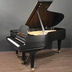 piano69420's Avatar'