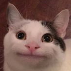 ZenkiDama's Avatar'