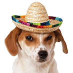 kimichilover232's Avatar'