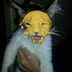 Dreary_Ninja's Avatar'