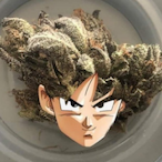 That.BobGuy's Avatar'