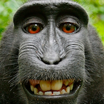 tasahm123's Avatar'