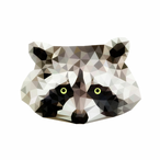 InsaneRaccoon34's Avatar'