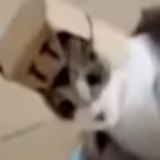 MistahCutThroat's Avatar'