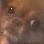 Skurt24's Avatar'