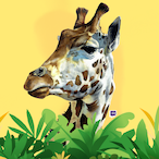 SeanCrs's Avatar'