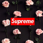 VvRosee's Avatar'