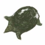 Supponn's Avatar'