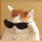 SIMOxyy's Avatar'