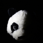 TCR6's Avatar'