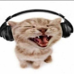 Flxrr67's Avatar'