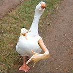 SwaggMessiah's Avatar'