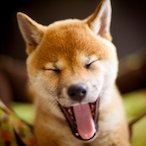 ChubbyGrandpa's Avatar'