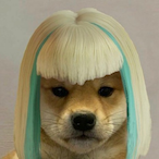 YellowyPack559's Avatar'