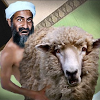 Felhasznalonv_'s Avatar'