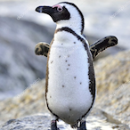 EdaiGunzz_'s Avatar'