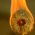 JohnDoeXXII's Avatar'