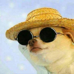 GroovyDogg's Avatar'