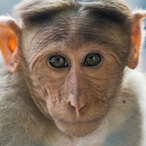 peebson_'s Avatar'