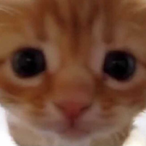 itsbravodoee's Avatar'