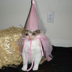 k8tiee's Avatar'