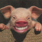 zestydiabetic's Avatar'