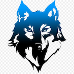 Ri69Co's Avatar'