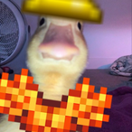 Spaggetey's Avatar'