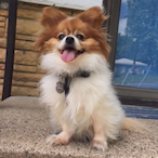 MaxIzBlitzed's Avatar'