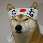 NotTheBelt.IG's Avatar'