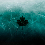 FREEZYV786's Avatar'