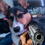 OaBuffalo's Avatar'