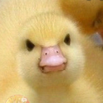 exvil.'s Avatar'