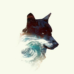 BarkingFir57803's Avatar'