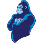 GorillaGamingPS's Avatar