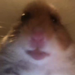 BlondDuszek's Avatar'