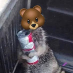 GK.Bear's Avatar'