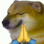 Jygaloo's Avatar'